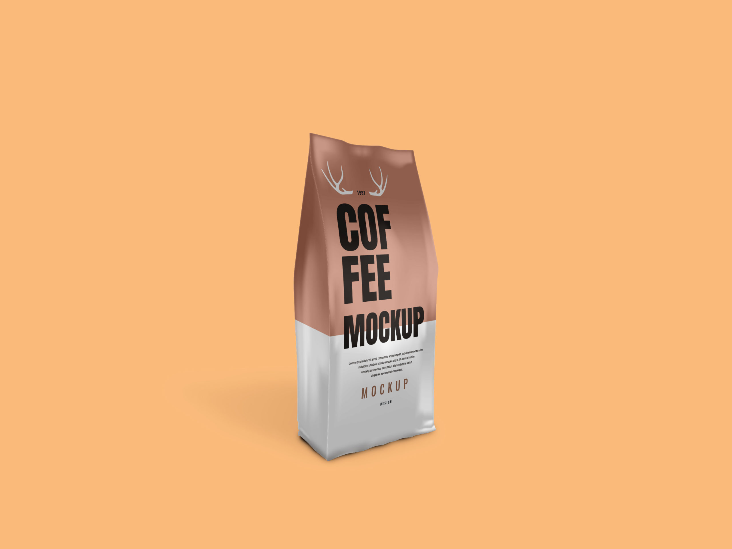Download Coffee Packaging Bag PSD Mockup - Free Download