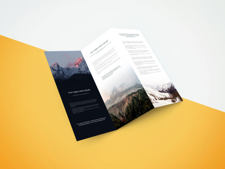 Download Realistic Tri Fold Brochure Showcase Mockup - Free Download