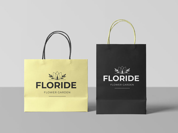 Download Vertical and Horizontal Shopping Bag Mockup - Free Download