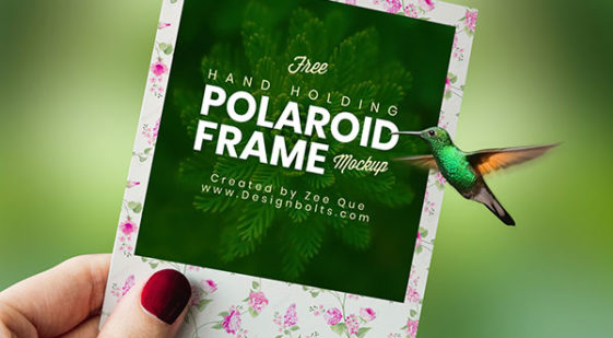 Download Polaroid Photo Frame Mockup - Free Download